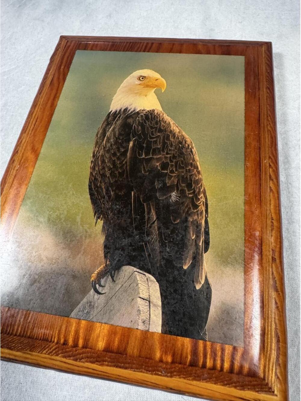 Vintage MCM Bald Eagle Wood Wall Plaque Americana Wildlife Cabin Decor 7x9